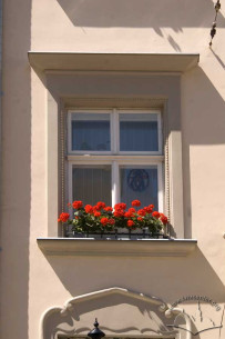 Pl. Rynok, 31. A 2nd floor window