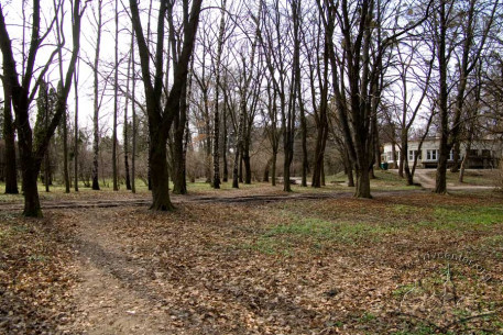 Вул. Стрийська. Ділянка Стрийського парку. Раніше в цих місцях розташовувався стадіон українського спортивного товариства «Сокіл-Батько»
