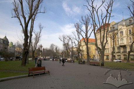 Алеї проспекту Свободи, у перспективі – пам’ятник Тарасові Шевченку.