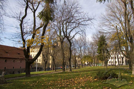 Алеї вул. Підвальної – Винниченка, на дальньому плані – обриси будинку страхового товариства “Дністер”.