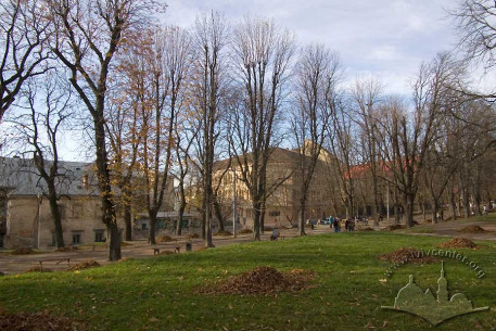 Ділянка північної частини алей вул. Підвальної – Винниченка.