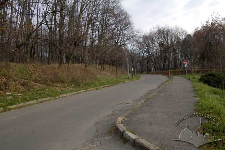 Парк "Знесіння" та його головна алея.