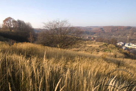 Вигляд з Кортумової гори, панорама Брюховицького лісопарку і Голоска на півночі.
