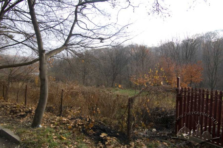 Парк “Залізна вода” (на задньому плані). Вигляд з вулиці Дібровної.