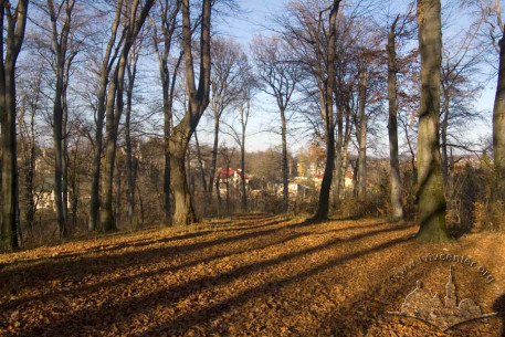 Парк “Залізна вода”, північний край верхньої тераси. На заході – панорама осель та садів Софіївки.