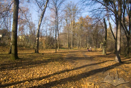 Парк “Залізна вода”, головна алея.
