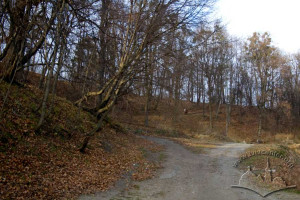 Vul. Lysenka – Stara Strilnytsia Park
