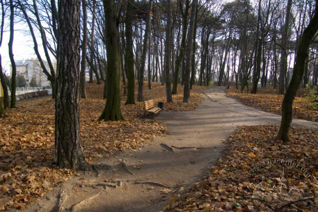 Личаківський парк, північно-східна ділянка території.