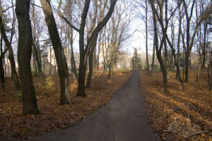 Вул. Личаківська – Личаківський парк