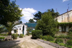 Vul. Kyryla i Mefodiya – The Old University Botanical Garden