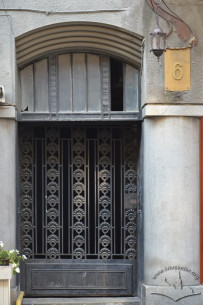 Vul. Kostiushka, 6. The main entrance doors