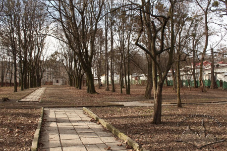 Подвір'я шпиталю, вигляд у бік вул. Клепарівської. Це була територія цвинтаря