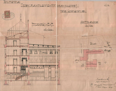 Transverse section (1907)