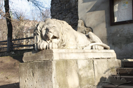 Vul. Pidvalna, 4. One of the carved stone lions by the entrance.