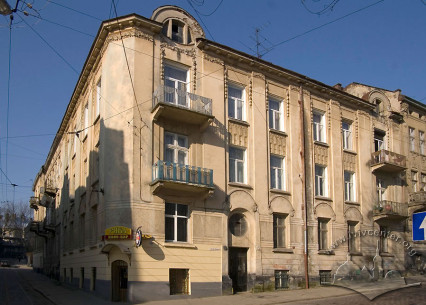 Vul. Nechuya-Levytskoho, 15. An overall view