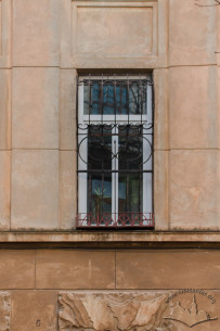 Vul. Vyshenskoho, 16. First floor window