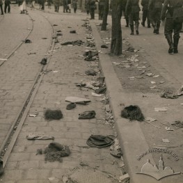 The Lviv Pogrom (1941)